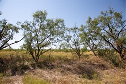property photo for Hunters Ranch Tract 6, 11.4 acres for sale in McCulloch County, Texas