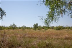 property photo for Hunters Ranch Tract 6, 11.4 acres for sale in McCulloch County, Texas