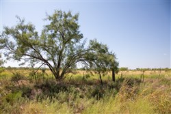 Hunters Ranch Tract 7