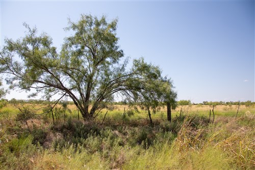Hunters Ranch Tract 7