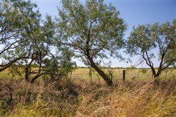 Hunters Ranch Tract 7