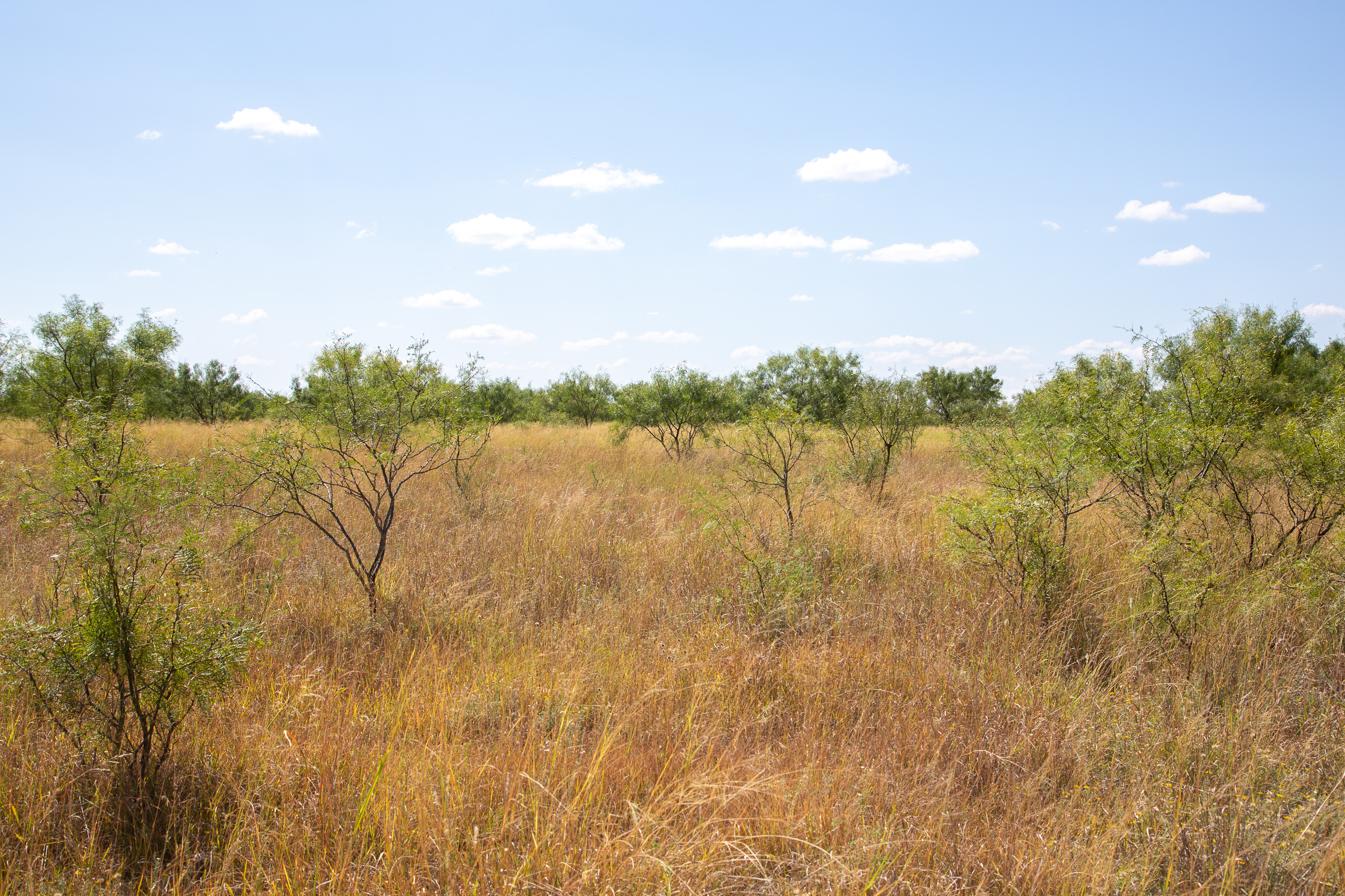 Tract 8 at Hunters Ranch in McCulloch County, Texas