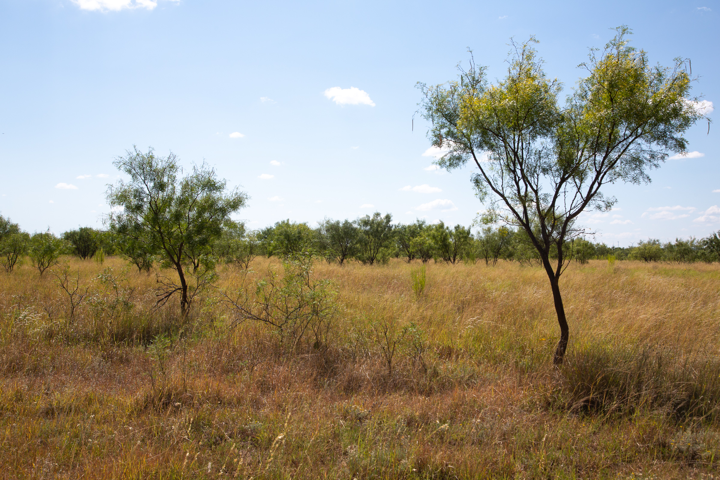Tract 9 at Hunters Ranch in McCulloch County, Texas