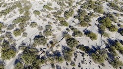 Vista Linda Canyon Tract 23