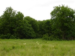 Red River Ranch Tract 3