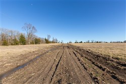 Wishing Star Ranch Tract 10