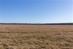 Wishing Star Ranch Tract 10