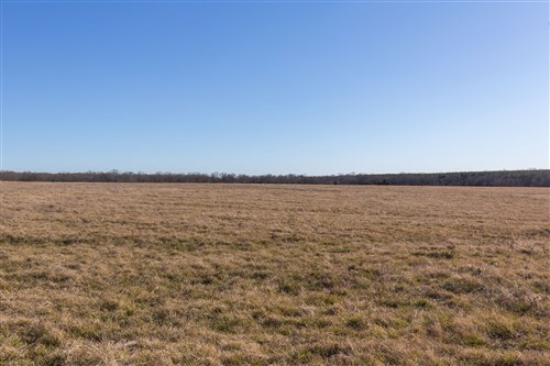 Wishing Star Ranch Tract 10