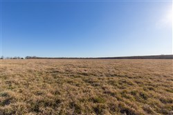 Wishing Star Ranch Tract 10