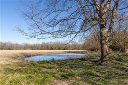 Wishing Star Ranch Tract 2