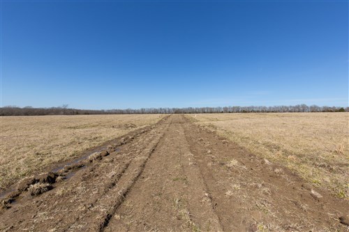 Wishing Star Ranch Tract 25