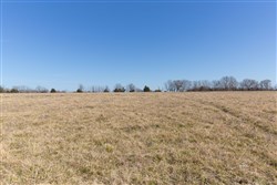 Wishing Star Ranch Tract 25