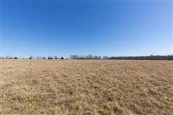 Wishing Star Ranch Tract 25