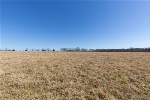 Wishing Star Ranch Tract 25