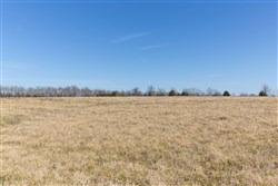 Wishing Star Ranch Tract 25