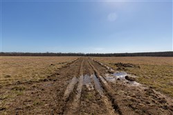 Wishing Star Ranch Tract 25