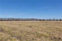 Wishing Star Ranch Tract 25