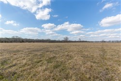 property photo for Wishing Star Ranch Tract 36, 7.68 acres for sale in Red River County, Texas