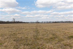 property photo for Wishing Star Ranch Tract 36, 7.68 acres for sale in Red River County, Texas