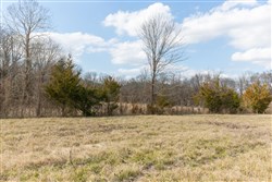 property photo for Wishing Star Ranch Tract 36, 7.68 acres for sale in Red River County, Texas