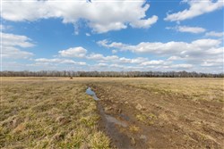 Wishing Star Ranch Tract 39