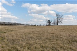 Wishing Star Ranch Tract 39