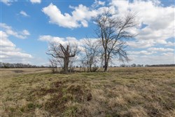 Wishing Star Ranch Tract 39