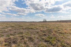 Wishing Star Ranch Tract 39