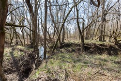 Wishing Star Ranch Tract 64