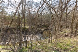 Wishing Star Ranch Tract 64