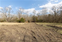 Wishing Star Ranch Tract 65