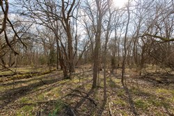 Wishing Star Ranch Tract 65