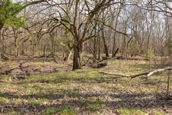 Wishing Star Ranch Tract 65