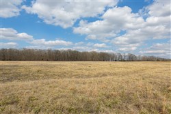 Wishing Star Ranch Tract 67