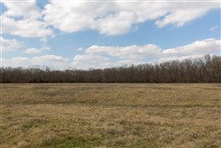 Wishing Star Ranch Tract 67