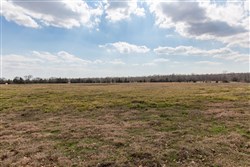 Wishing Star Ranch Tract 67