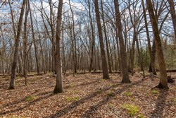 Wishing Star Ranch Tract 67