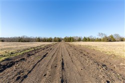 Wishing Star Ranch Tract 76