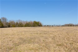 Wishing Star Ranch Tract 76