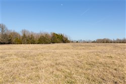 Wishing Star Ranch Tract 76