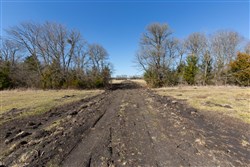 Wishing Star Ranch Tract 85