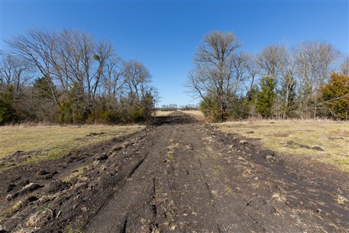Wishing Star Ranch Tract 85
