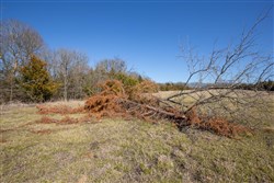 Wishing Star Ranch Tract 85
