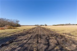 Wishing Star Ranch Tract 85