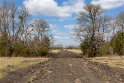Wishing Star Ranch Tract 88