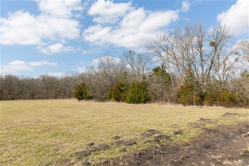 Wishing Star Ranch Tract 88