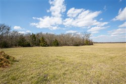 Wishing Star Ranch Tract 88