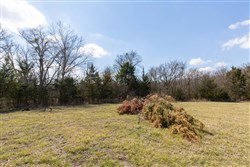 Wishing Star Ranch Tract 88