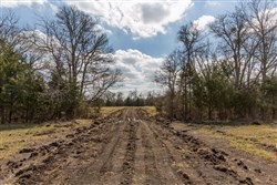 Wishing Star Ranch Tract 88