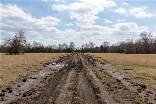 Wishing Star Ranch Tract 90